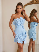 Blue Blossom Bandage Mini Dress