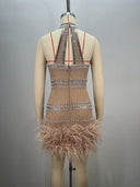 Nancy Crystal Embellished Nude Feather Dress