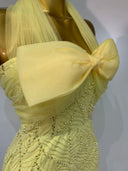 Lemon Belle Embellished Evening Gown